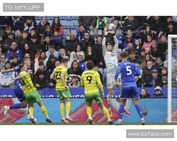 米尔诺尔迎战诺维奇争夺英冠积分榜关键战役 米尔诺尔迎战诺维奇争夺英冠积分榜关键战役